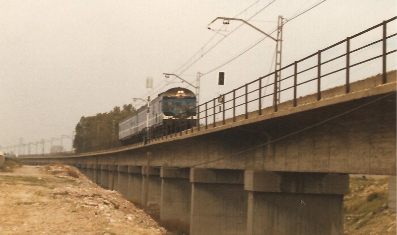 ter 001.jpg