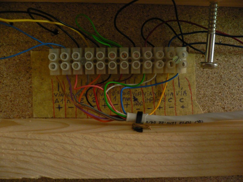 P1090261.JPG