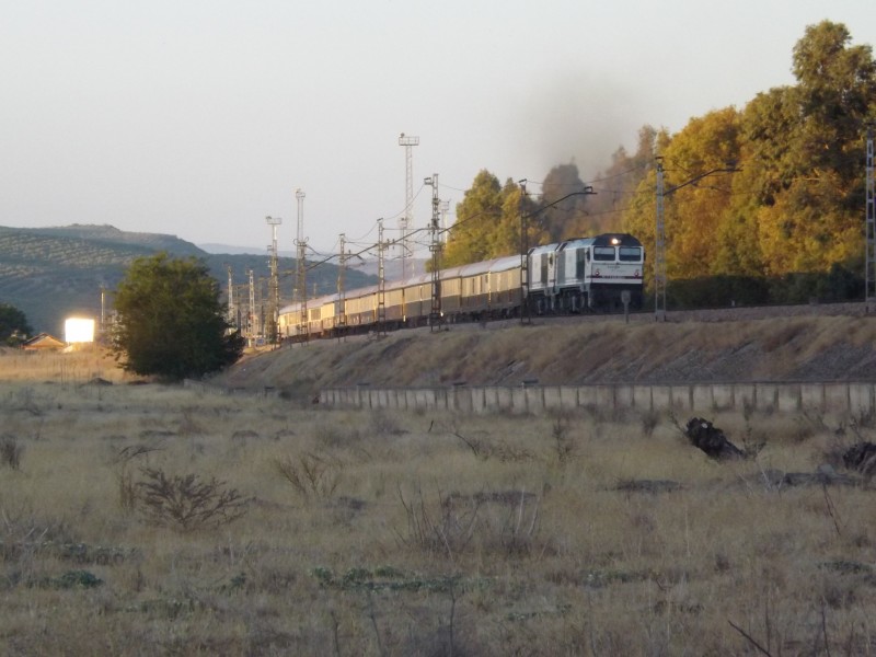 DSCF0606.JPG