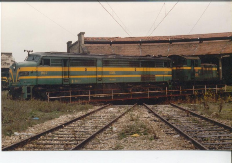 Foto Herrero 019.jpg