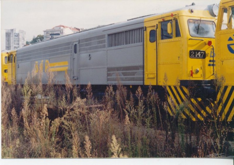 Foto Herrero 031.jpg