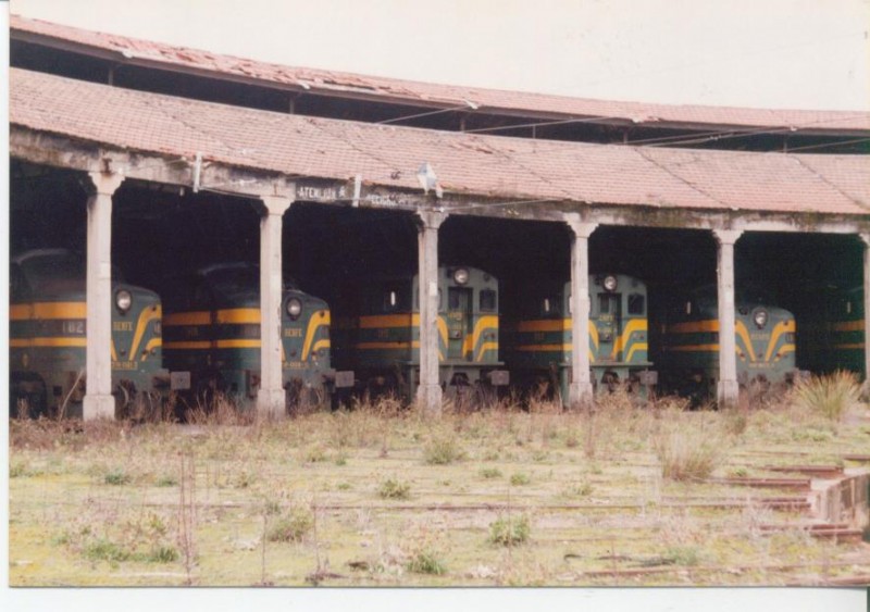 Foto Herrero 022.jpg