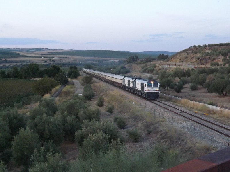 DSCF0686.JPG