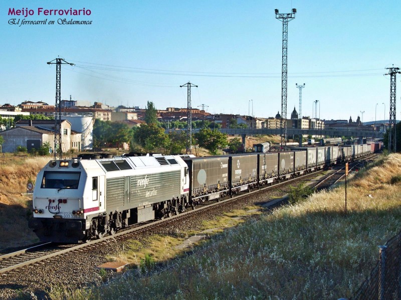 Tren TECO de Transfesa y Salamanca de fondo.JPG