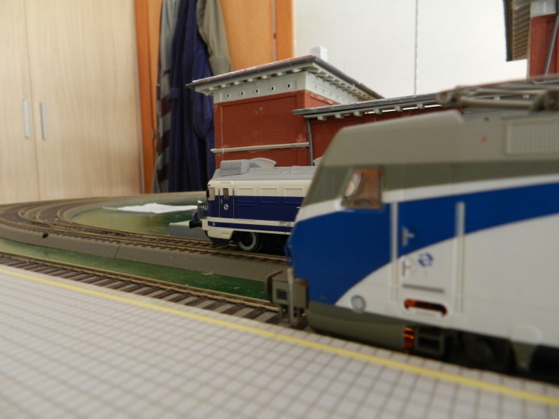 DSCN1175.JPG