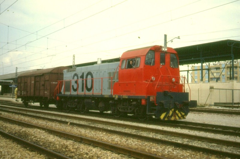 310 en fte san luis.jpg