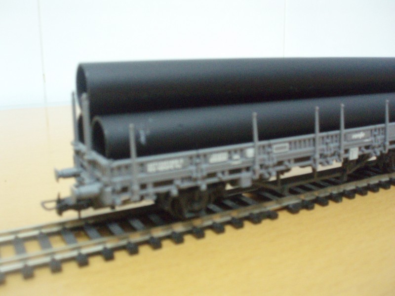 P1010195 (2).JPG