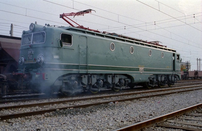 9828.jpg