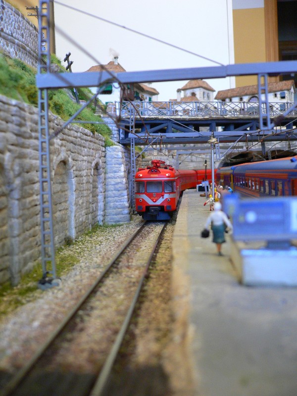 11 (1).JPG