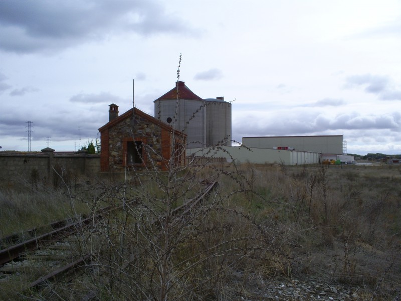 S5031593.JPG