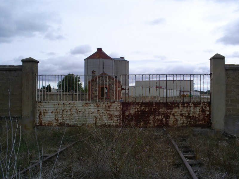 S5031600.JPG