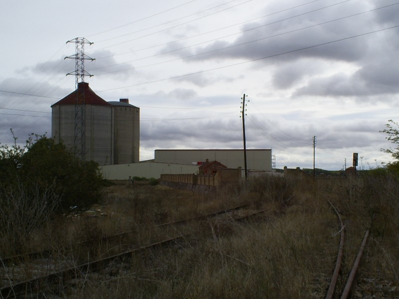 S5031609.JPG