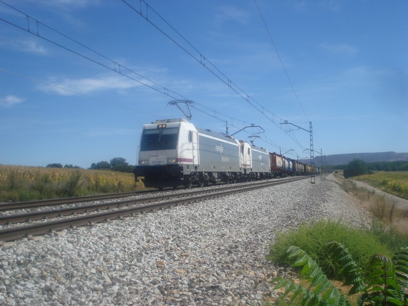 DSC00499.JPG