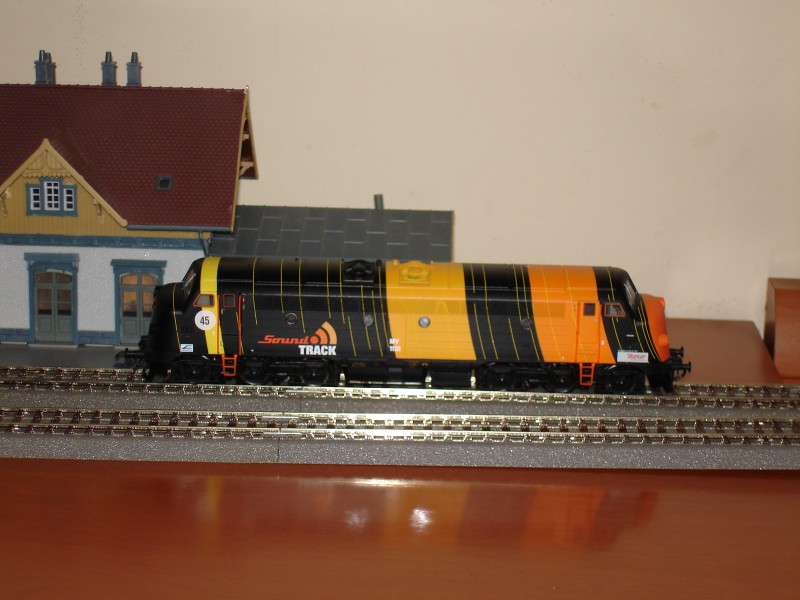 MY 1131.JPG