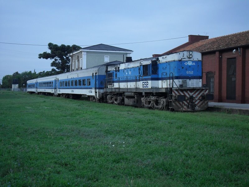 7231.jpg