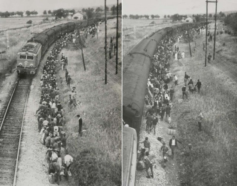 7232.jpg