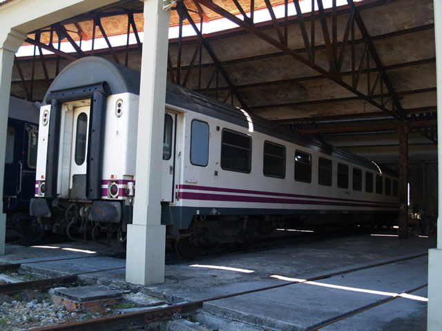P7305897.jpg