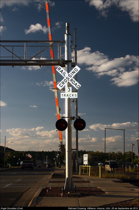 CIWL1163.jpg