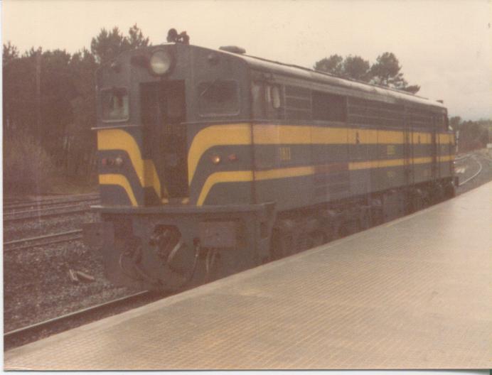 Foto Herrero 041.jpg