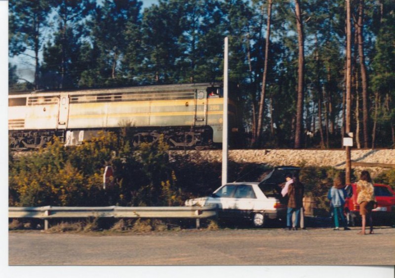 Foto Herrero 037.jpg