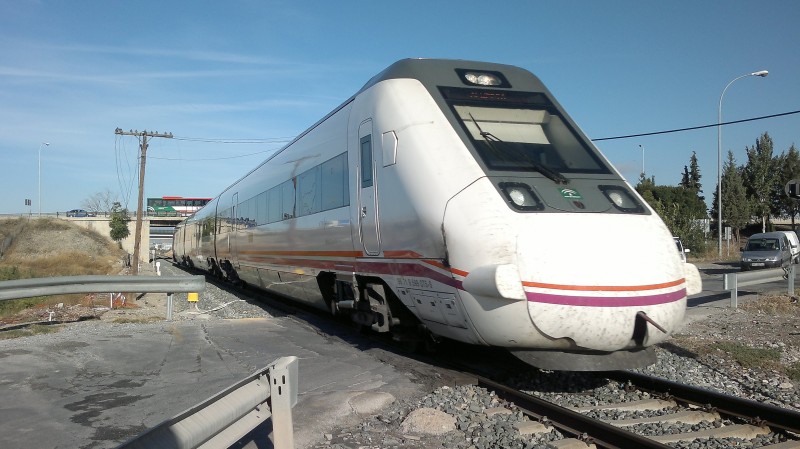 9554.jpg