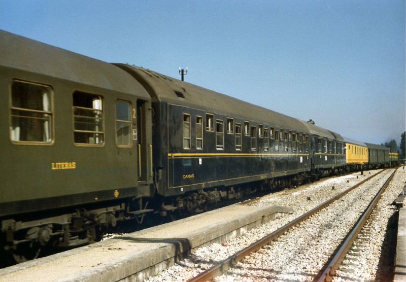 7274.jpg