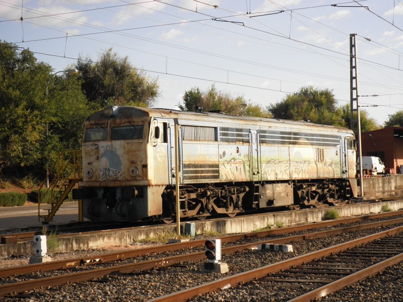 PA151399.JPG