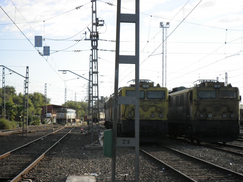 PA151410.JPG