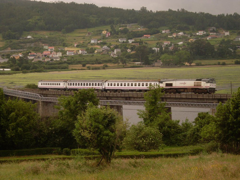 SL373766.JPG