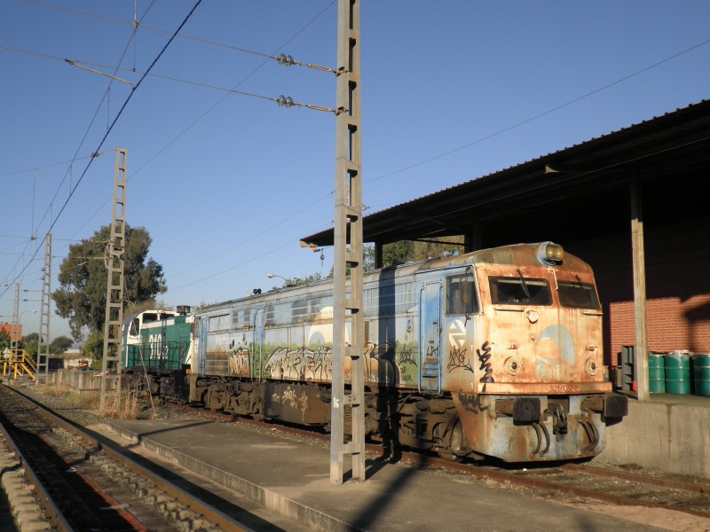 PA231465.JPG