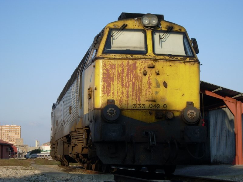 SL375908.JPG