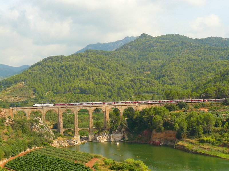 agost 08.1 081.jpg