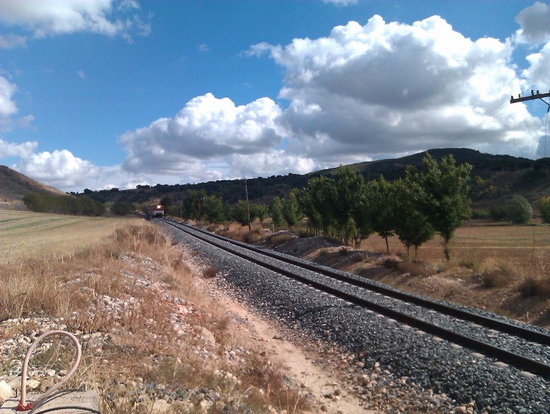 IMAG0043.jpg