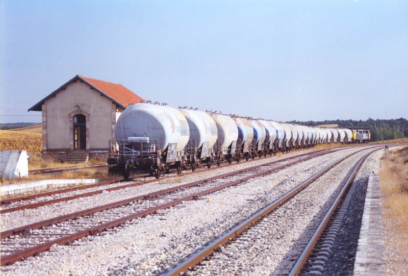 40379.jpg