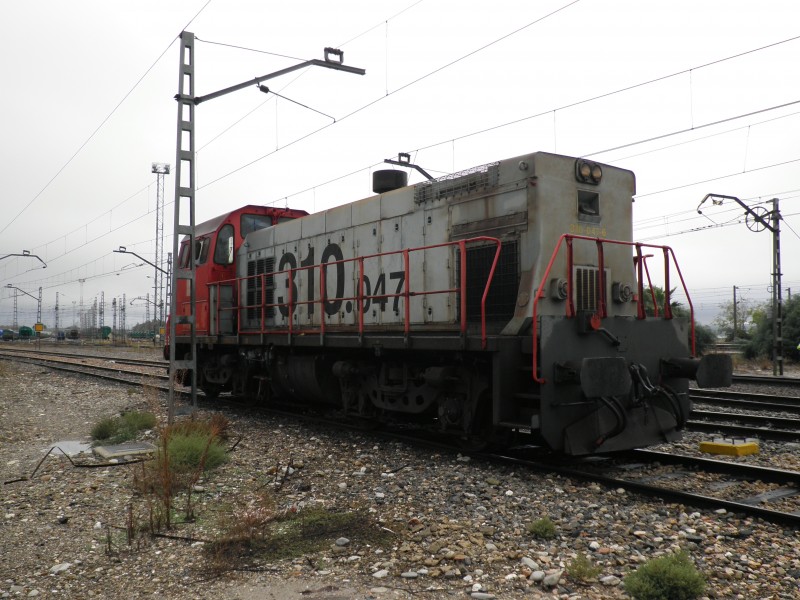 PA261481.JPG