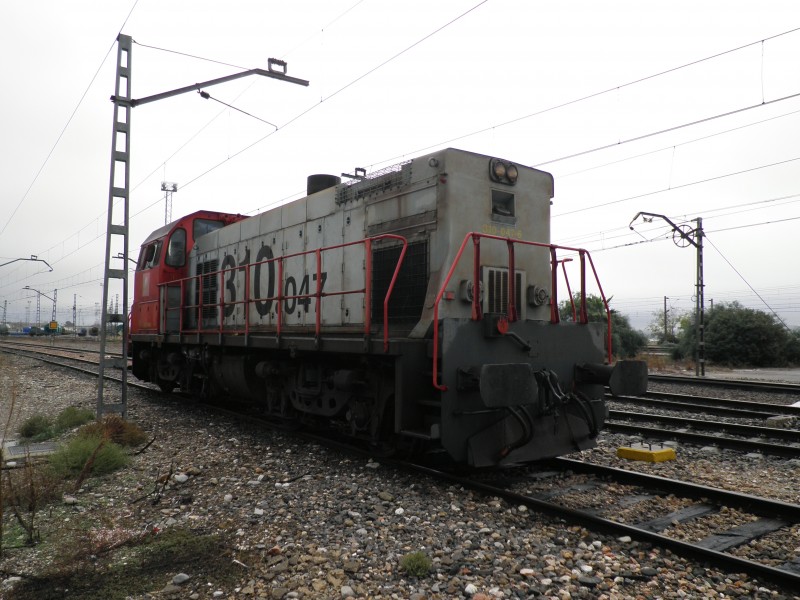 PA261482.JPG