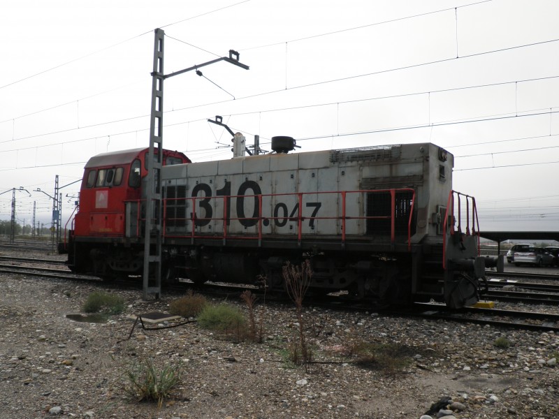 PA261483.JPG