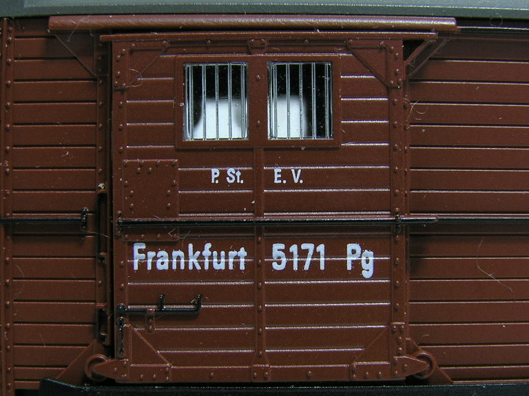 P.St.E.V.jpg