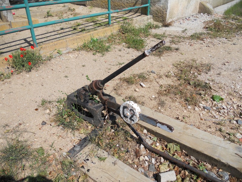 DSCN0177.JPG