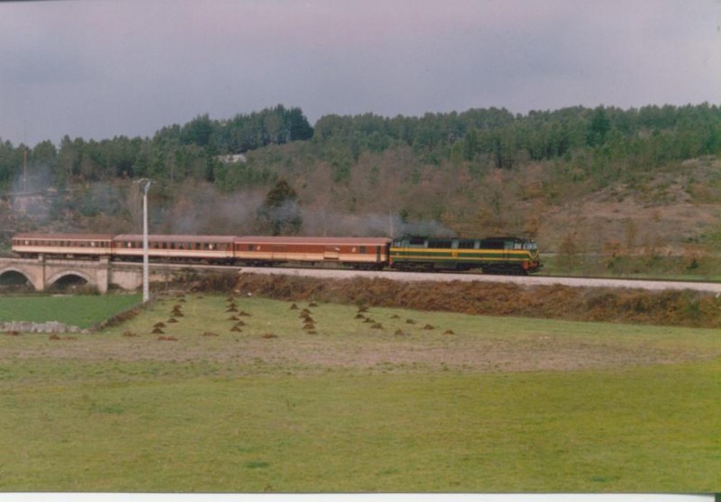 Foto Herrero 051.jpg