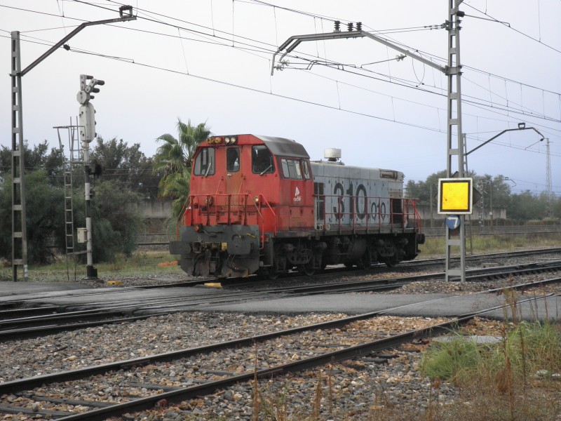 PA261484.JPG