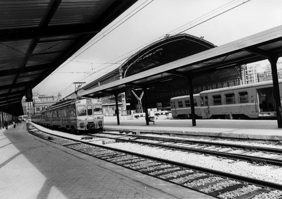 6137.jpg