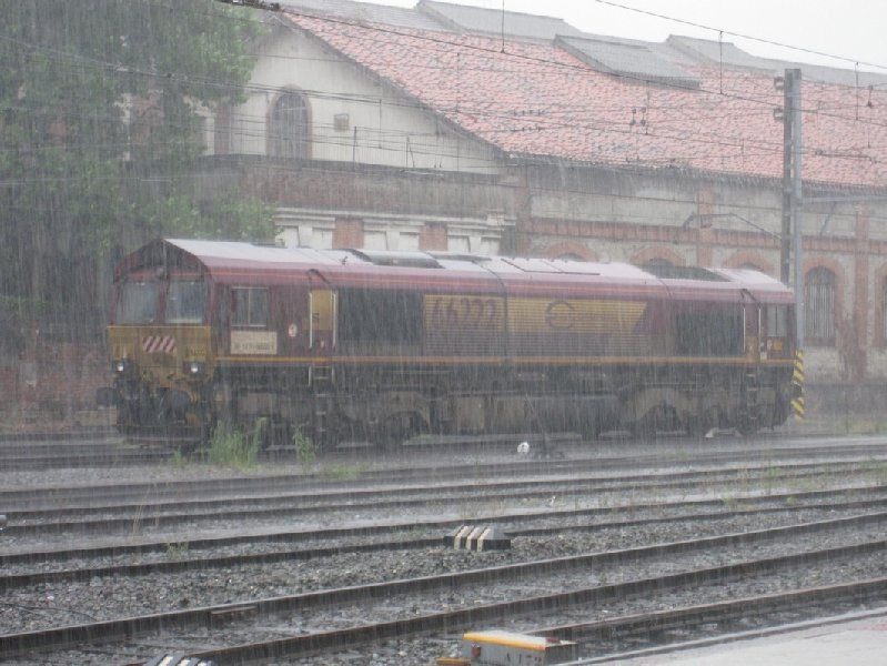66222L.JPG