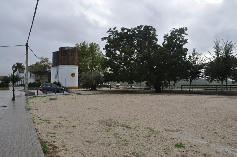 DSC_4318.JPG