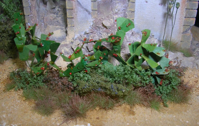 DSCN6565.JPG