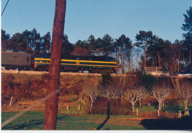Foto Herrero 056.jpg