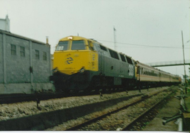 Foto Herrero 055.jpg
