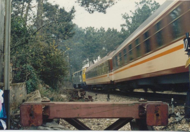 Foto Herrero 054.jpg