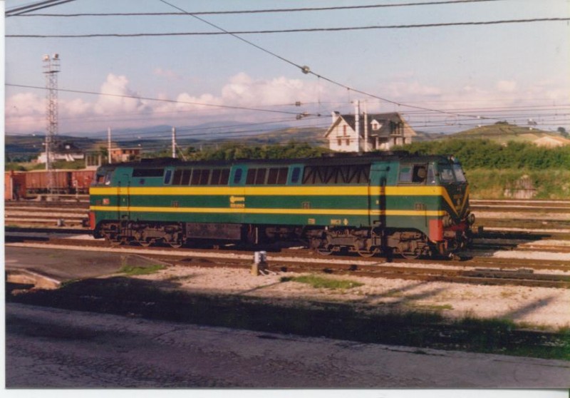 Foto Herrero 046.jpg