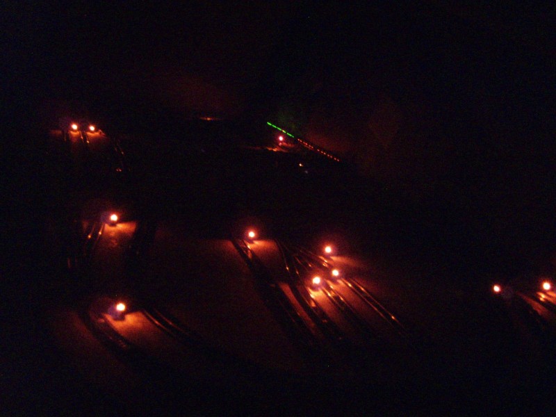 P1010308.JPG